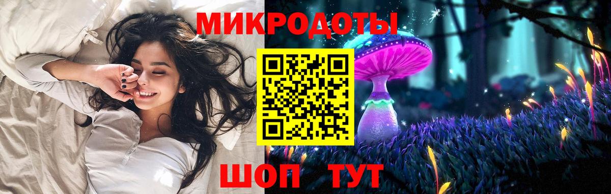 Пугачёв  Псилоцибиновые грибы прущие грибы  Вход с VPN  Псилоцибиновые грибы мицелий 